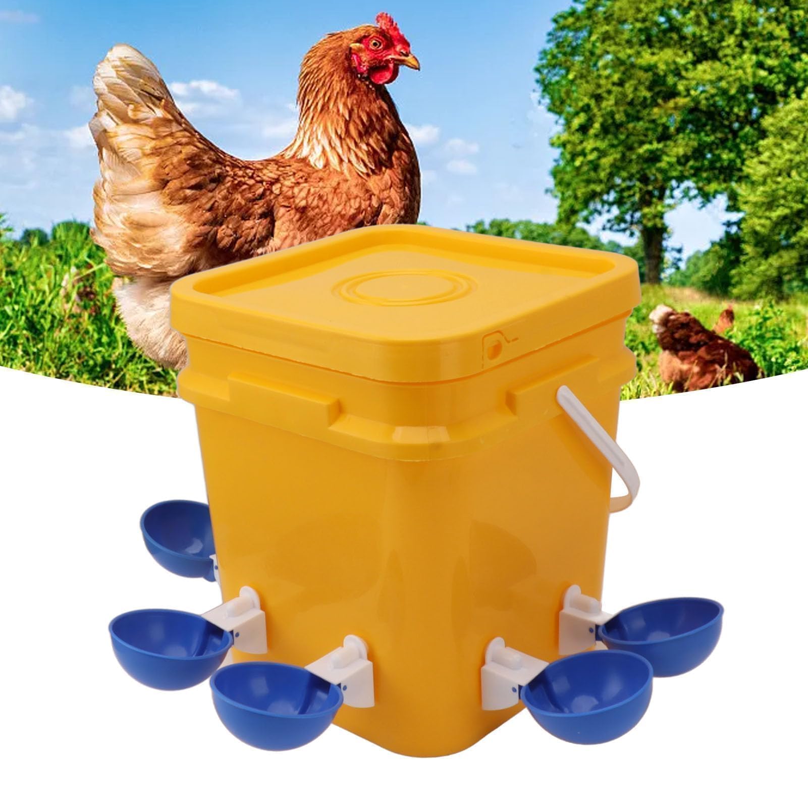 Abbeveratoio Automatico per Pollo Gallinella Fornisce Abbeveratoio per Pollo Mangiatoia e Abbeveratoio per Pollo da 12 Litri per Pollame (Secchio + grande ciotola blu + viti nere)