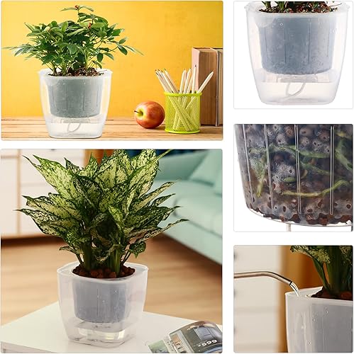 Miniatura 8 de Paquete de 6 macetas transparentes de riego automático para plantas de interior de 7 pulgadas, macetas grandes de violeta africana, macetas de