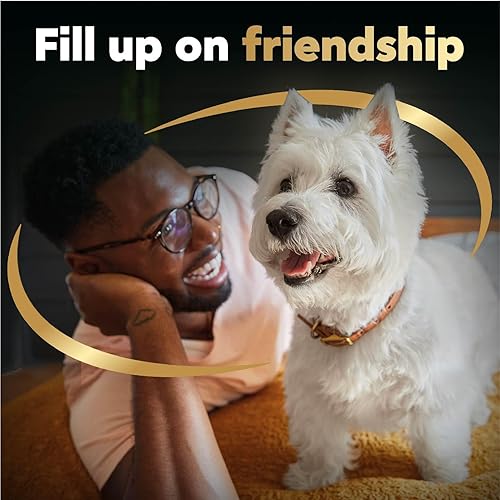 Miniatura 9 de Cesar Filets in Gravy - Alimento húmedo para perros con sabor a pollo a la parrilla de madera, 1.76 onzas, mini bolsa, paquete de 20