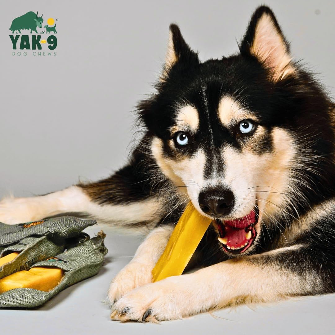 Yak9 Himalayan Yak Chews for Medium Dogs - High Protein, Rawhide Free, Long Lasting Treats - Non GMO, Gluten Free, Grain Free Yak Milk Dog Chew, Medium 6oz (for Breeds 40-80 LBS), Yak & Cow, 3 PC
