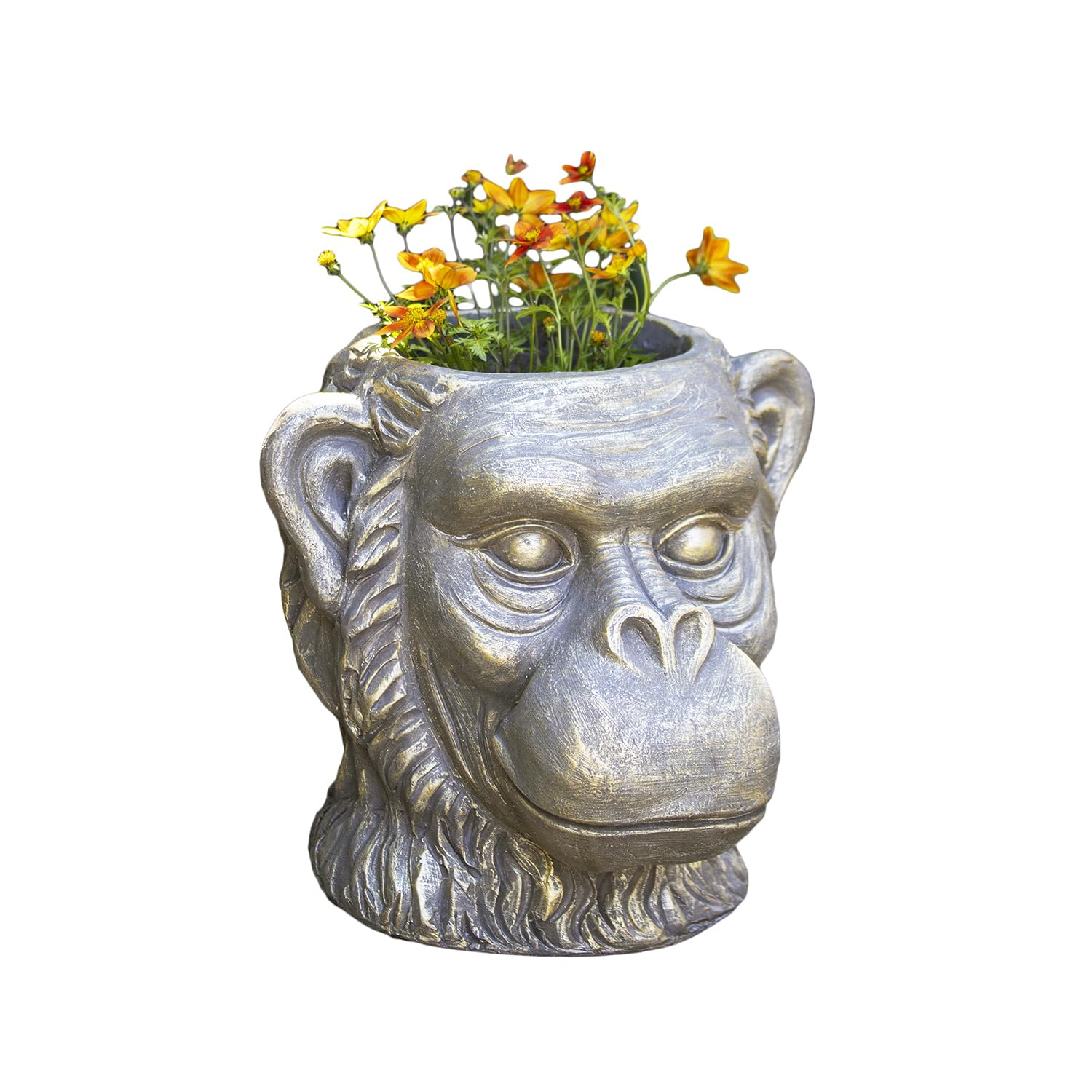 Darthome Bronze Ape Head Planter, Cement Fibrestone, Finish, Frost-Resistant Outdoor Monkey Face Garden Pot, W27cm X H25cm X D26cm