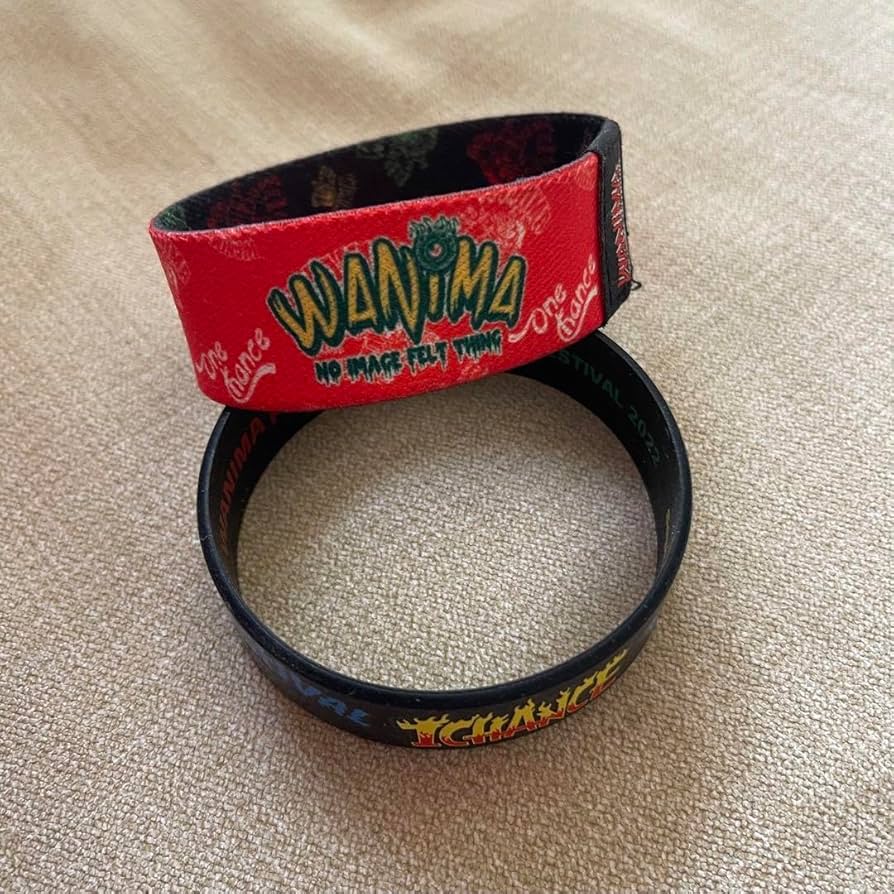 Amazon.co.jp: WANIMA 1 CHANCE FESTIVAL ワンチャンフェス ラババン