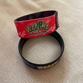 Amazon.co.jp: WANIMA 1 CHANCE FESTIVAL ワンチャンフェス