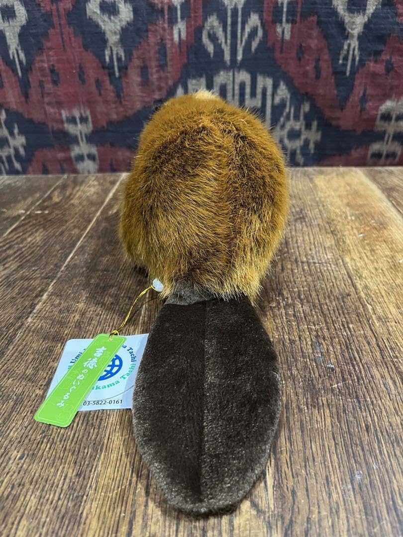 Amazon.co.jp: SUPER BEAVER スーパービーバー 吉徳 通販 ぬいぐるみ