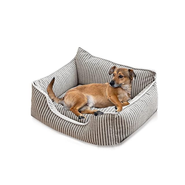 PETCUTE Cama Gato y Perros Pequeños,Camas para Perros,Ortopédica Cama para Perros de Espuma Viscoelástica…