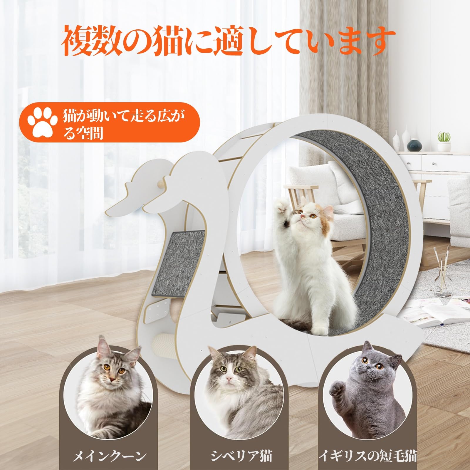 キャットホイール ホワイト Amazon | キャットホイール 猫 運動 キャットホイール 猫