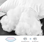 EIUE Oreillers de lit pour dormir 2 Pack Queen Size,Pillows pour les couches latérales et arrière, Super Soft Down Oreillers de rechange en microfibre,20 x 30 Pouces