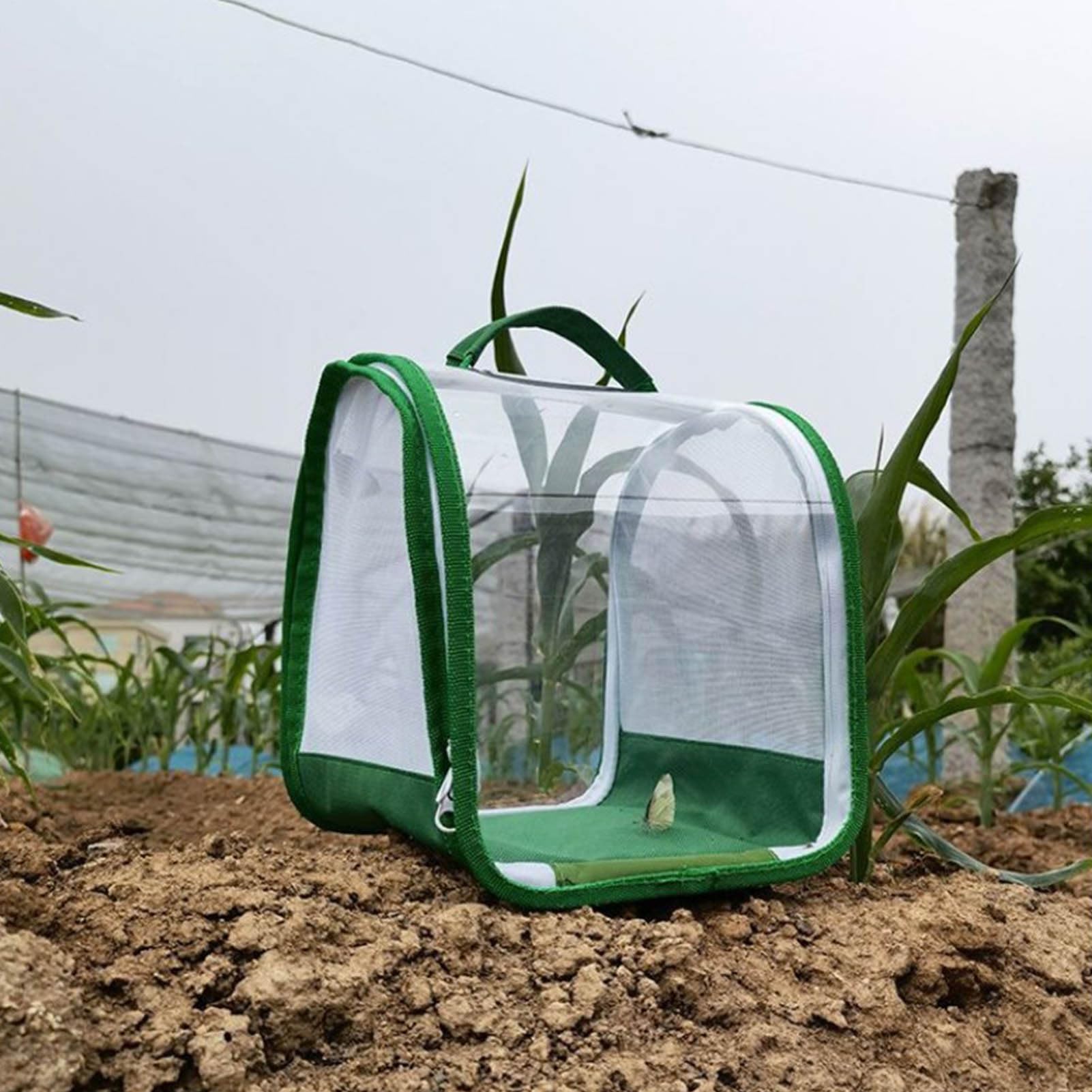 Set di allevamento di farfalle per bambini/adulti | Farfalla domestica | Insetto e Farfalla Habitat Gabbia di protezione per terrario | Allevamento cingolato dai 3 anni in su, verde