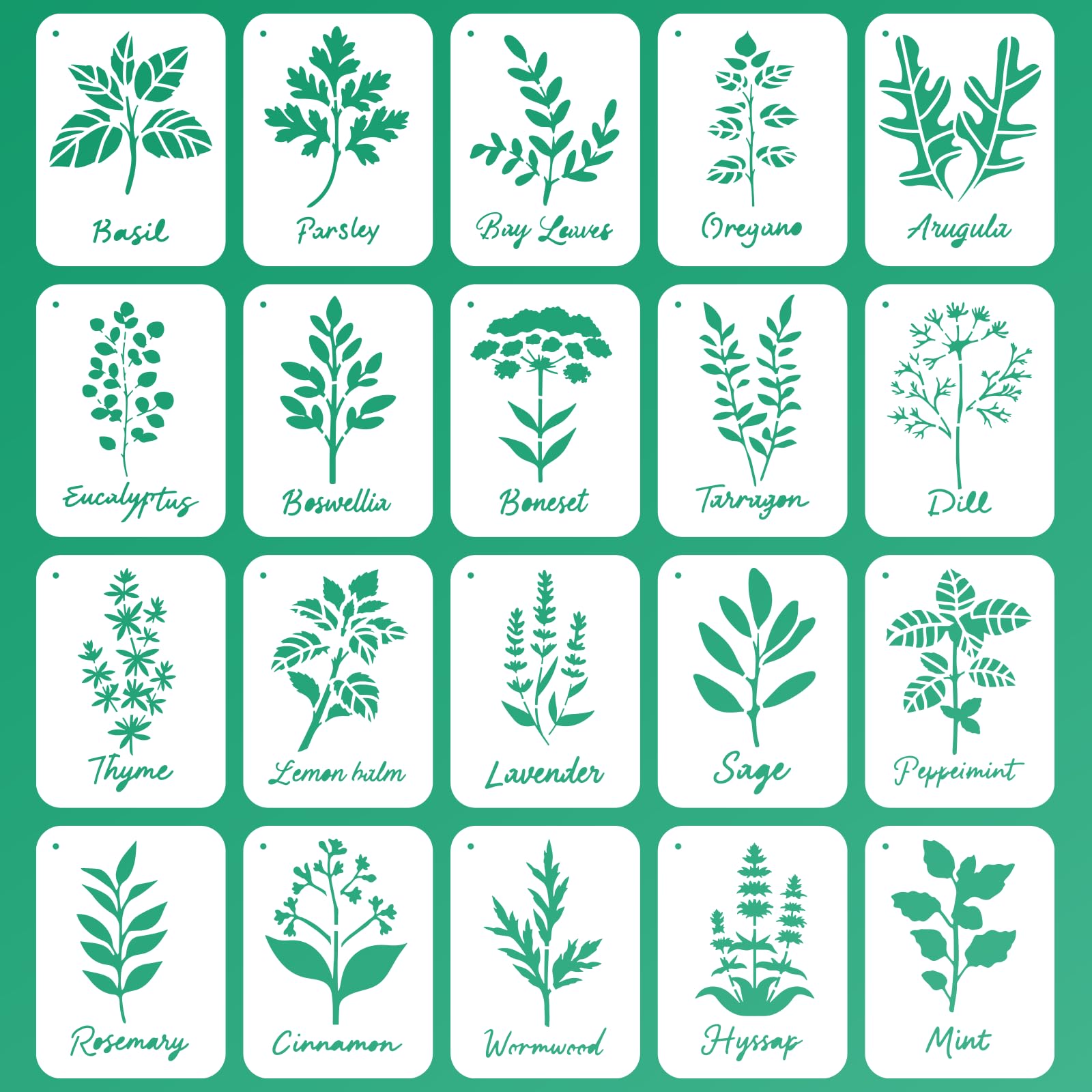 INFUNLY 20 Pcs Herb Wall Stencils for Painting 5.9x7.87 Inch Reusable Botanical Painting Stencil with Plant Names Boho Leaf Wall Paint Stencil for Wood Canvas Paper Fabric Floor DIY Craft