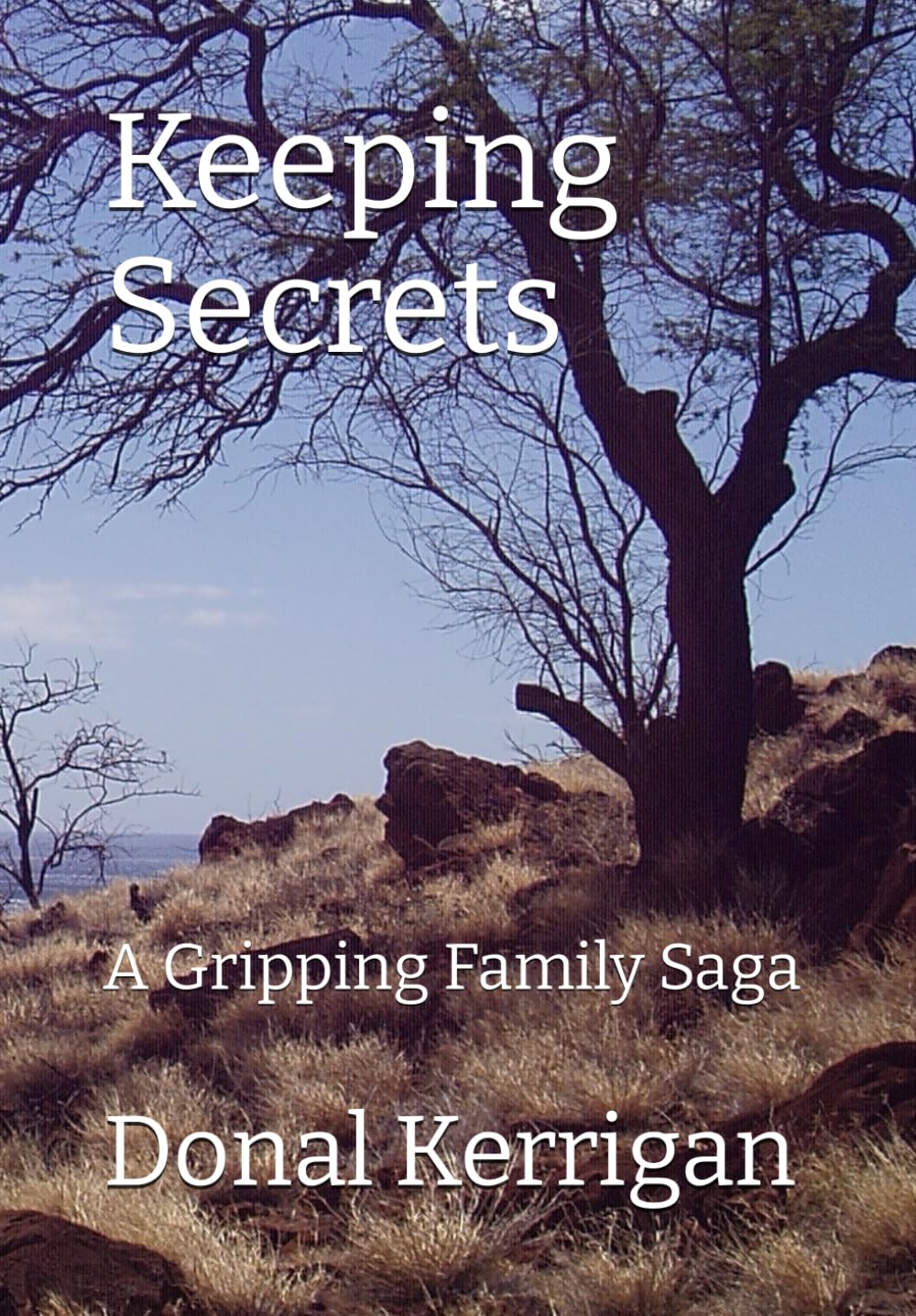 Keeping Secrets: A Gripping Family Saga