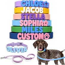 Custom Dog Collar with Name Waterproof Silicone Pet Collar