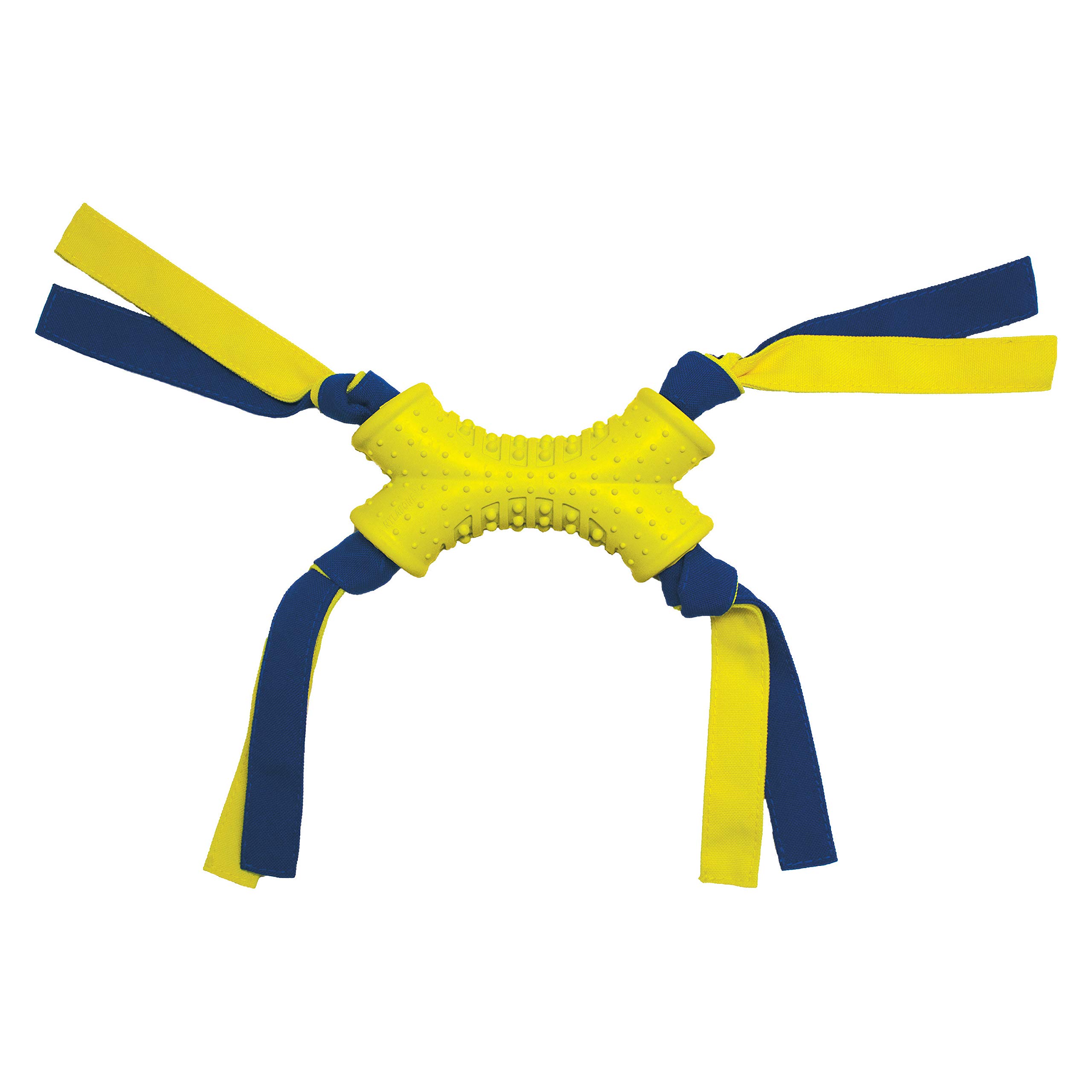 Nylabone Power Play - Juguetes interactivos para Perros, Juguetes de enriquecimiento para Perros para la Mejor Experiencia de Juego