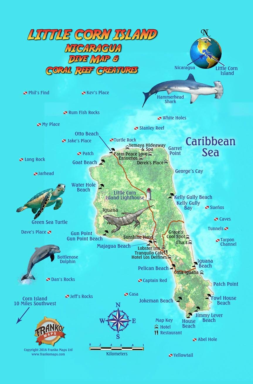 Buy Little Corn Island Nicaragua Dive & Coral Reef Creatures Guide
