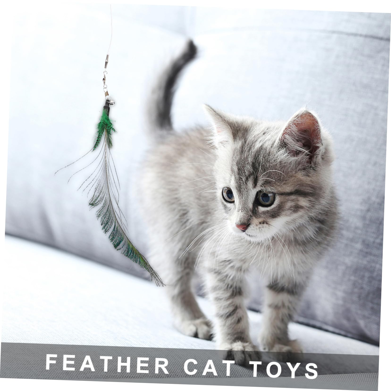 VANZACK 24pièces Kit De Jouets Interactifs pour Chat avec Plume Ensemble De Cannes pour Chat Améliore Interaction Et Exercice