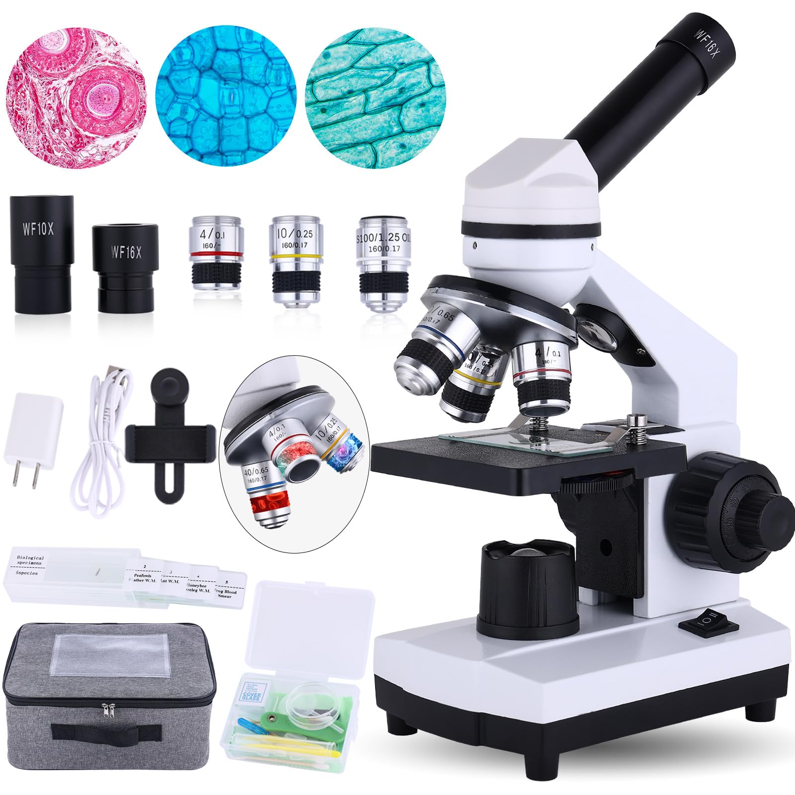 Microscopio ottico 40X-1000X Microscopio a doppio LED con illuminazione, fase di caricamento meccanico per laboratori, scuole, homeschooling, microscopio di avviamento per bambini adulti