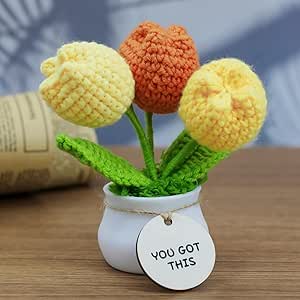 Handmade Crochet Graduation Poo Plush - Funny Class Of 2025 Grad Gift With Encouragement Message