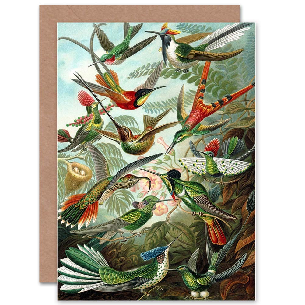 Wee Blue Coo NATURE BIOLOGY BIRD HUMMING ERNST HAECKEL GERMANY GREETINGS CARD