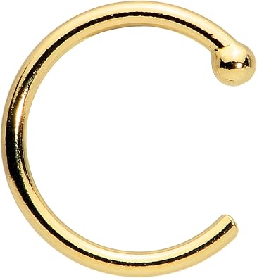 Body Candy 20 Gauge 1/4" Solid 14k Yellow Gold Small Nose Hoop