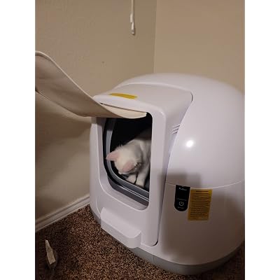 Buy Pet Daddy Self Cleaning Cat Litter Box, Automatic Fully 