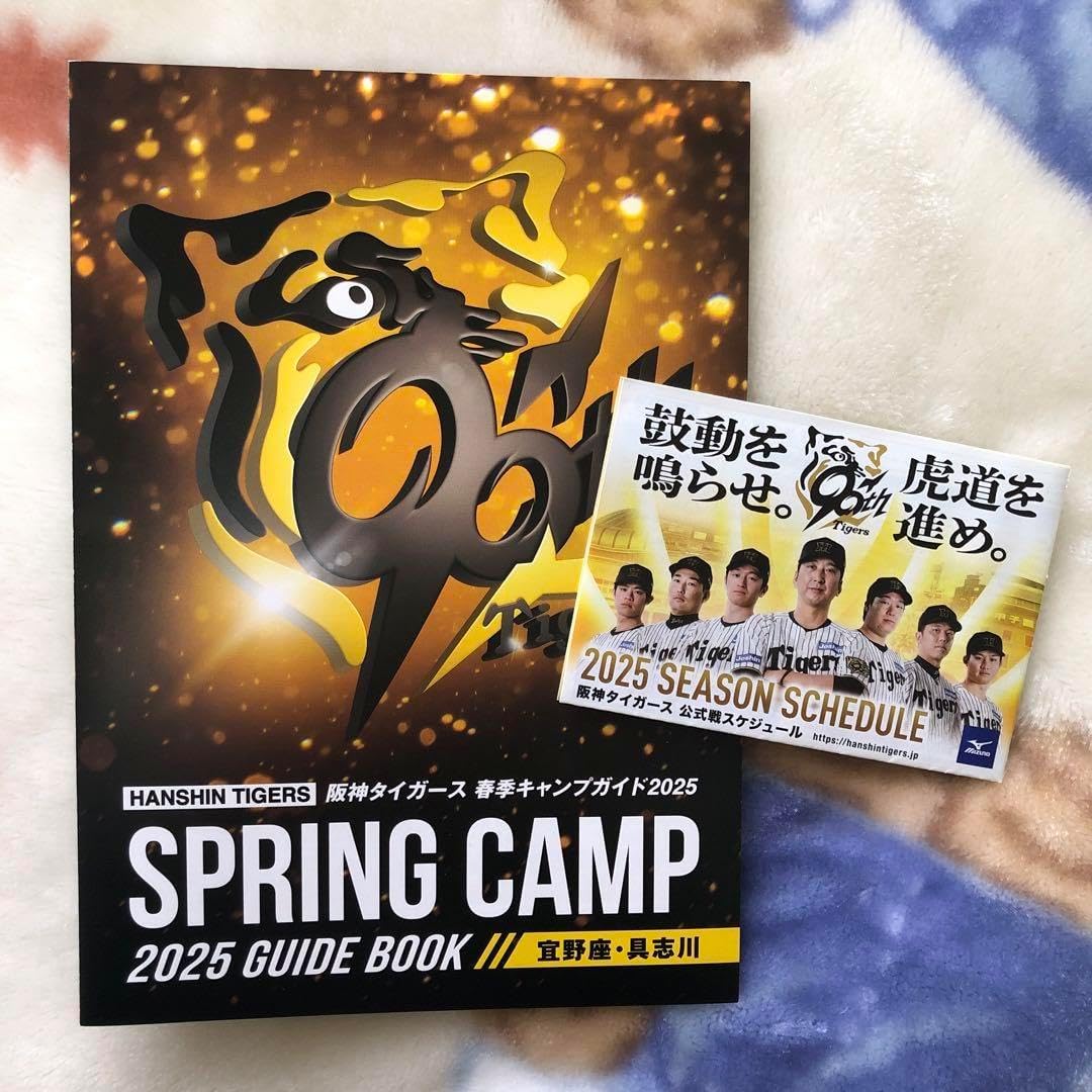 阪神タイガース 木浪聖也 春季沖縄キャンプ限定 ロゴベースボール