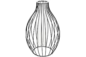 Classy Glass Flower Vase with Iron Frame and Geometric Terrarium Design