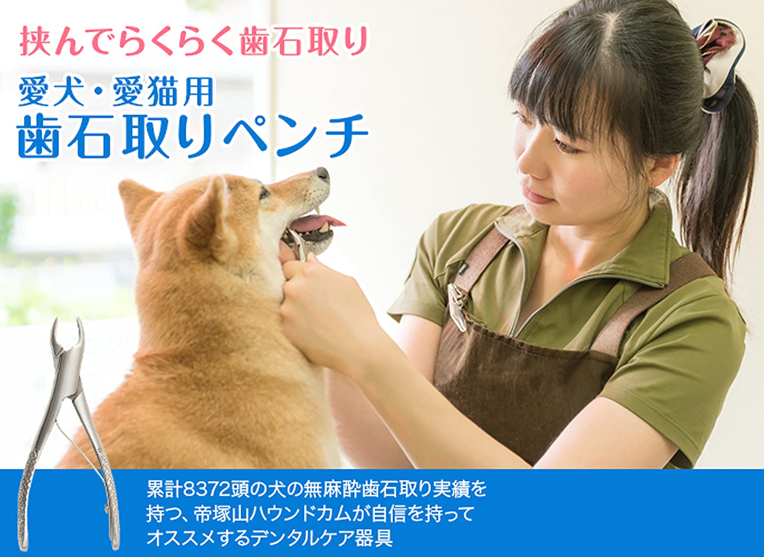正式的 プロ仕様 犬猫用歯石取りペンチ 帝塚山ハウンドカム 犬用品 ペット用品 7 613 Lucentlightinginc Com