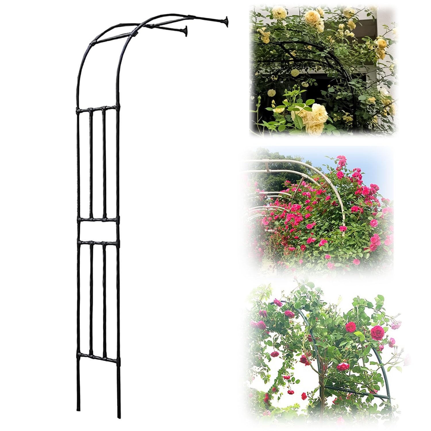 Demi-arche de jardin en métal contre les murs pour guider vos plantes