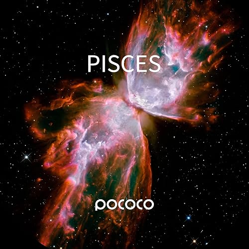 Miniatura 6 de Oferta por tiempo limitado 16% de descuento proyector POCOCO Galaxy + constelación realista-2 discos (6 piezas)