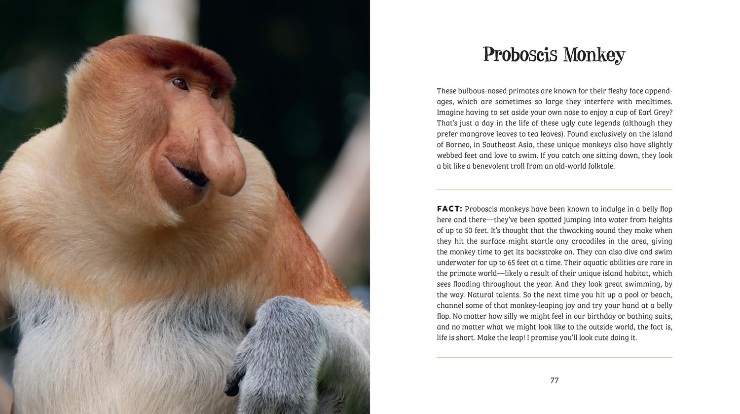 Ugly-Cute: What Misunderstood Animals Can Teach Us About Life