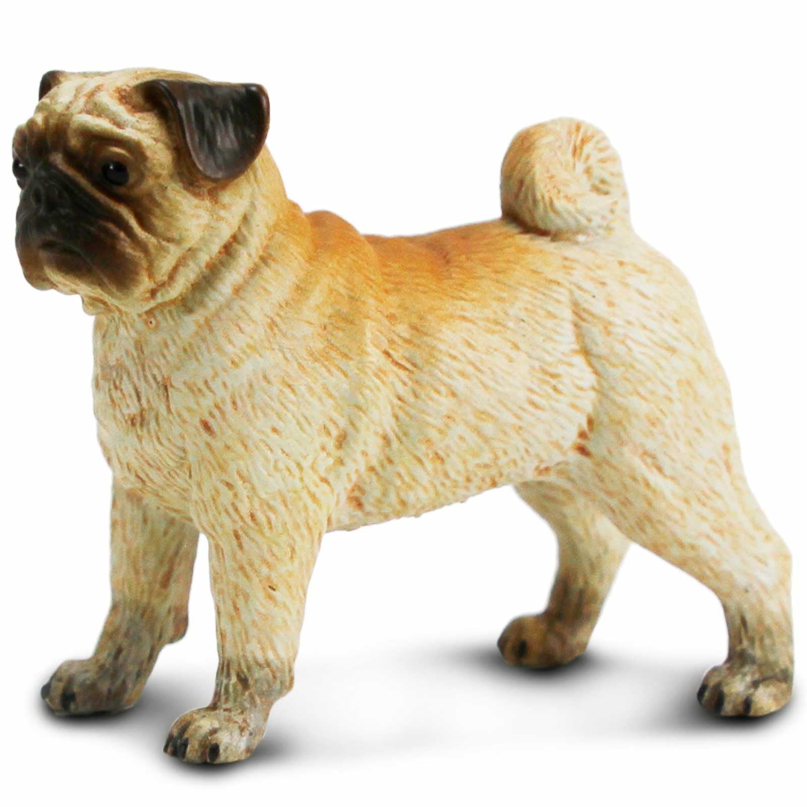 Amazon.co.jp: Safari Ltd.パグフィギュア - リアルな2.75インチの犬の