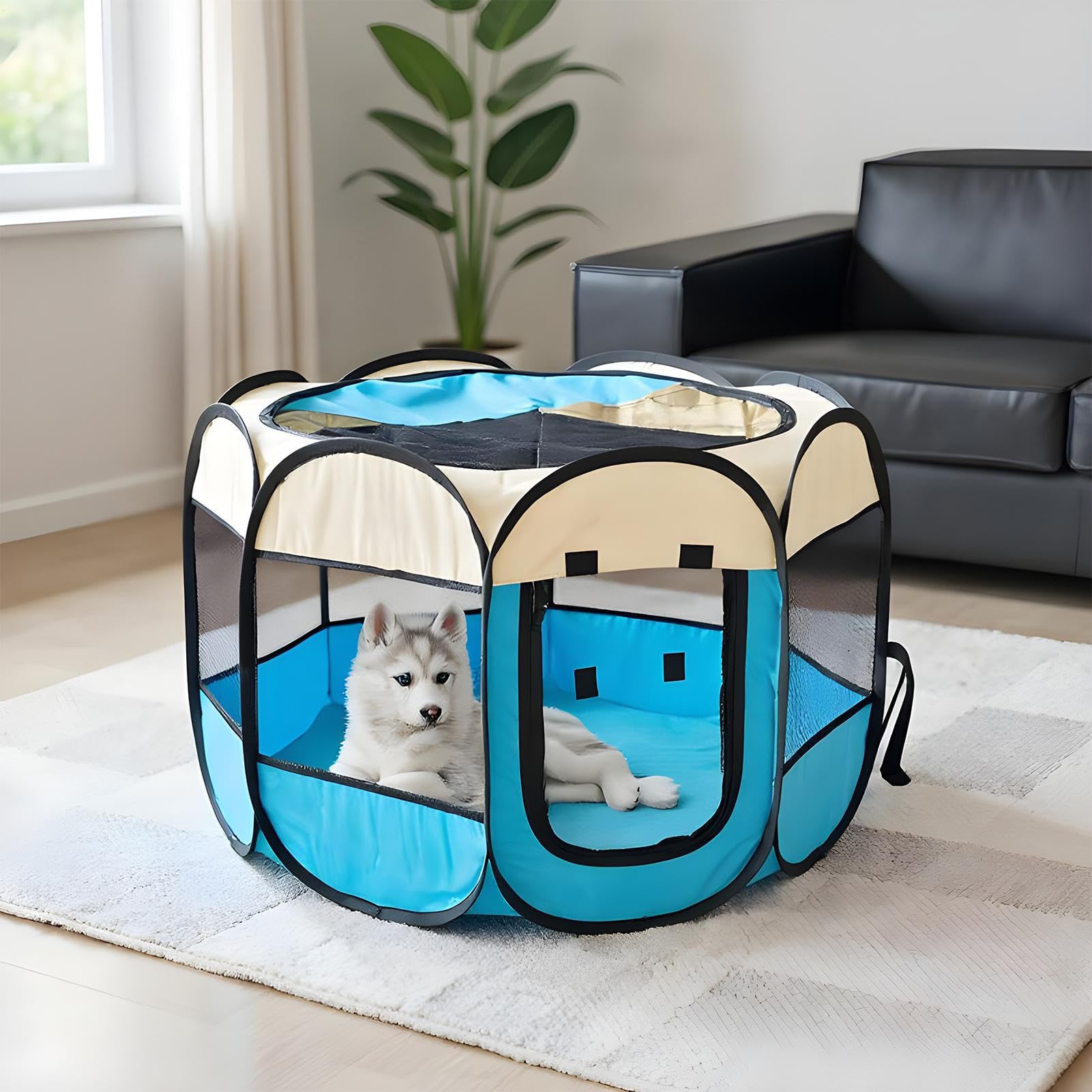 per Gatti - da Campeggio Semi-Chiusa in Rete per Cuccioli Gatti | Trasportino Arieggiato Per Cuccioli Furetti Ricci Porcellini D'Criceti Viaggio Campeggio Interno