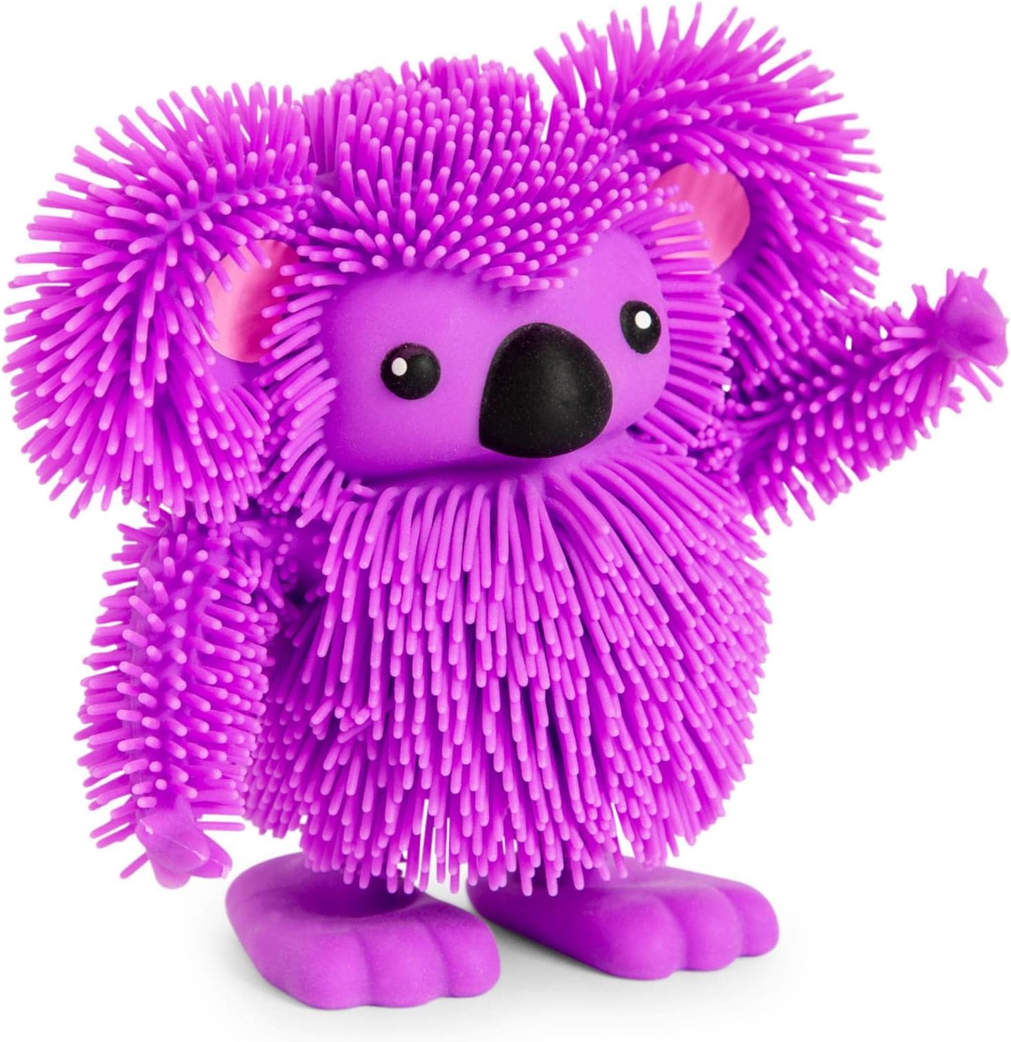 Eolo Jiggly Pets Koala - Purple, JP007-PU