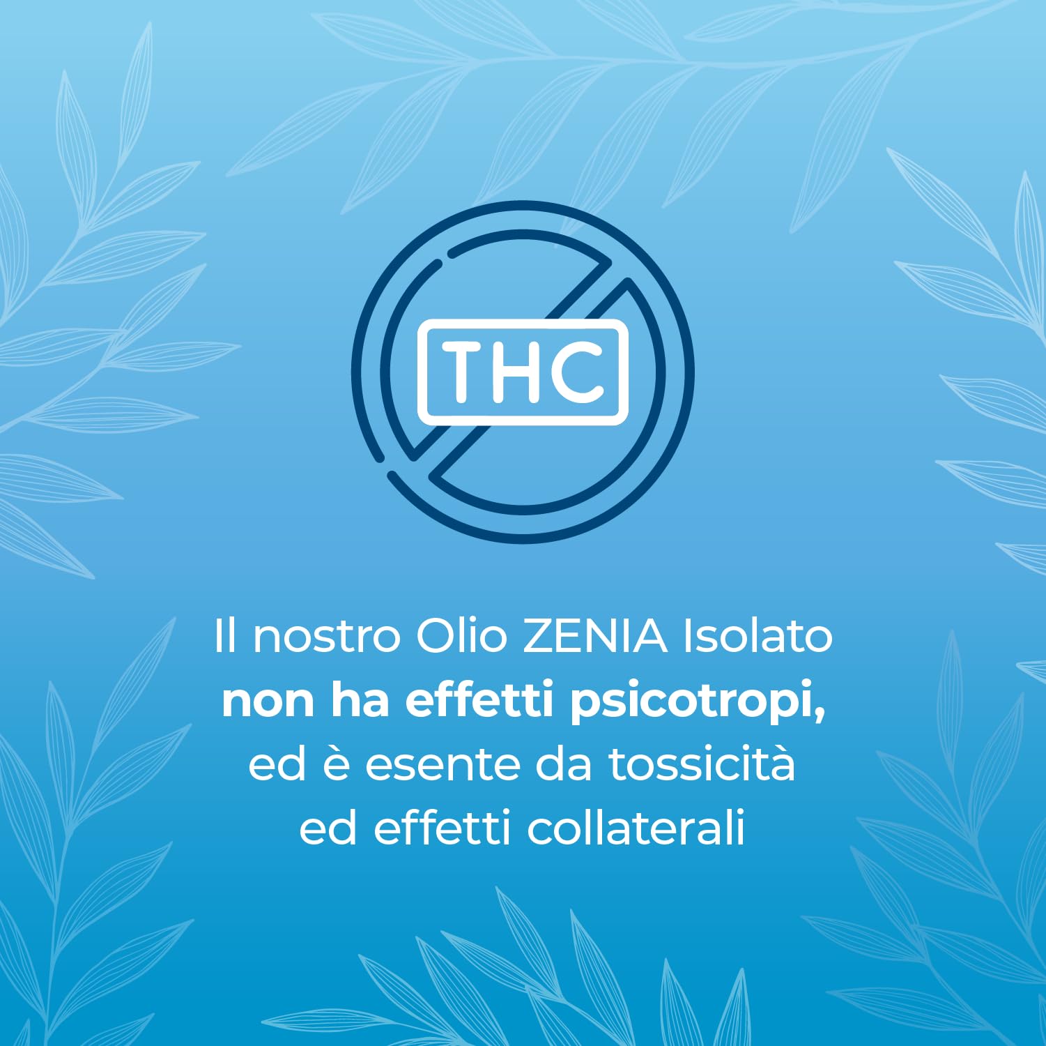 Zenia Olio 40% Isolato - Ideale per Rilassarsi, Anti-stress, Calmare l'ansia e per Gestire il sonno (30 ML)