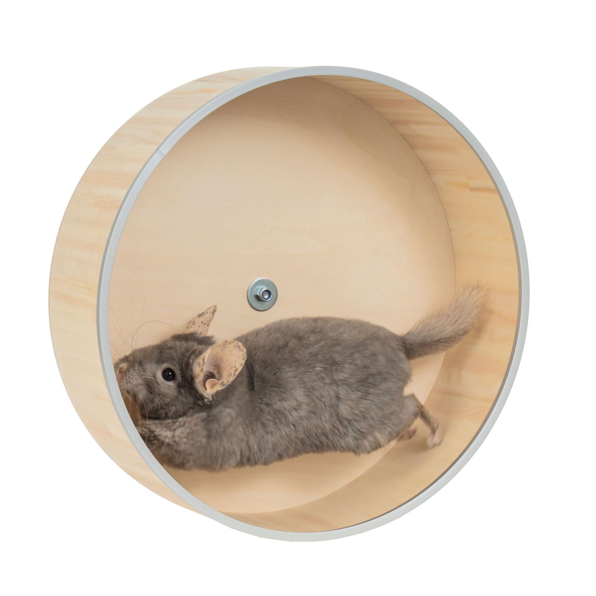 Exercise Wheel for Chinchila 16" Kiln-Dried Pine Wood
