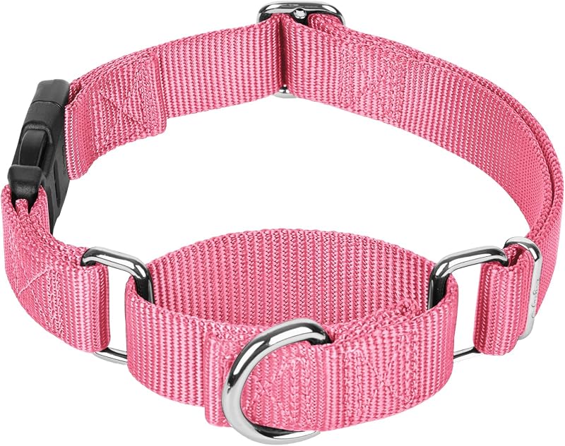 Coleira Martingale Ajustável com Fecho de Engate Rápido Legiuf para Cães Médios e Grandes