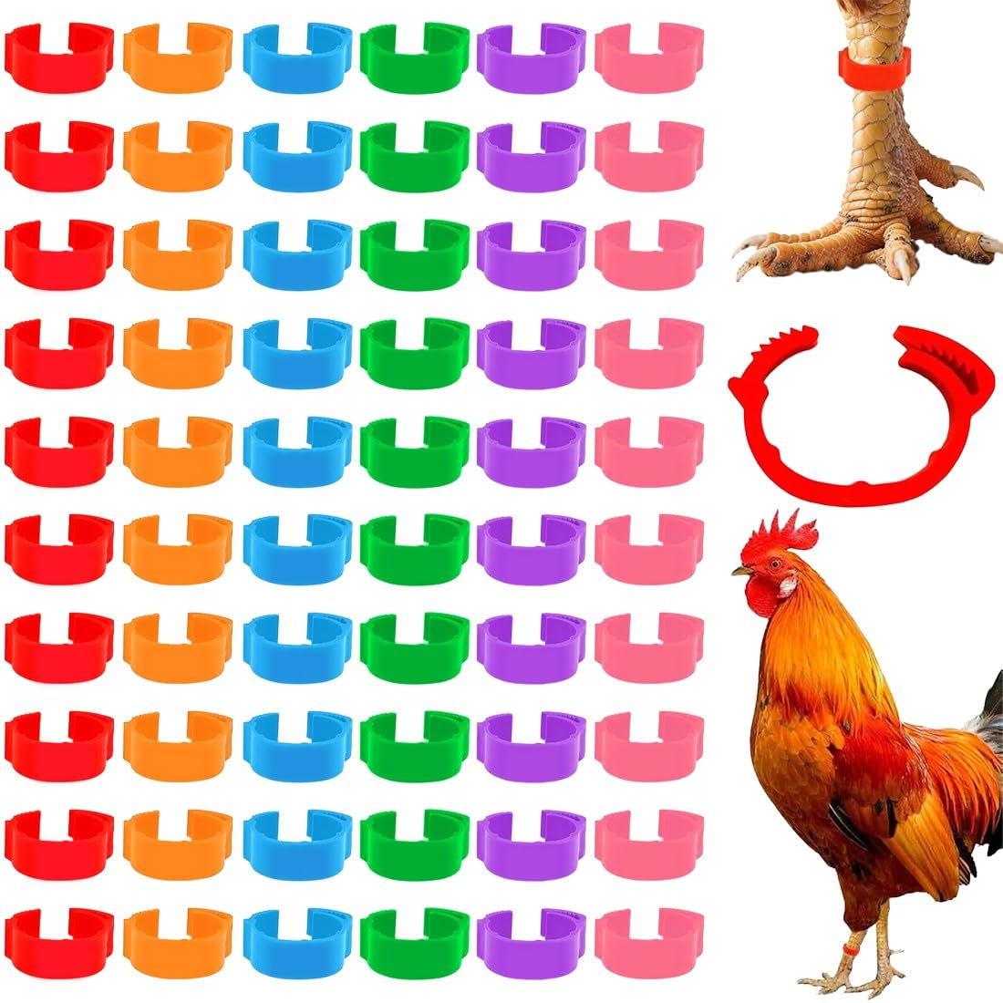 JEYORZY 60 Pcs Gallinas Anillas, Anillo de Pie de Pollo, Anillos de Marcado para Pollos, Gansos, Patos