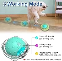 Vista 6 de Interactive Cat Toys for Indoor Cats,Automatic Moving Cat Ball in Pouch,Chirping Stimulation,Hide-n-Seek Chase Exercise Game,Motion