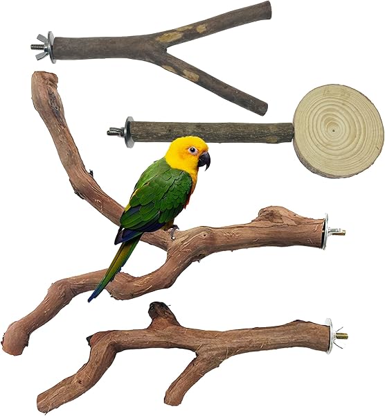 4 Pz Perchas Naturales para Pájaro, Juguetes para Pajaros, Perca de Pájaro, Madera de UVA Salvaje para Jaulas de Pájaros para Cacatúas, Periquitos y Pinzones - 1