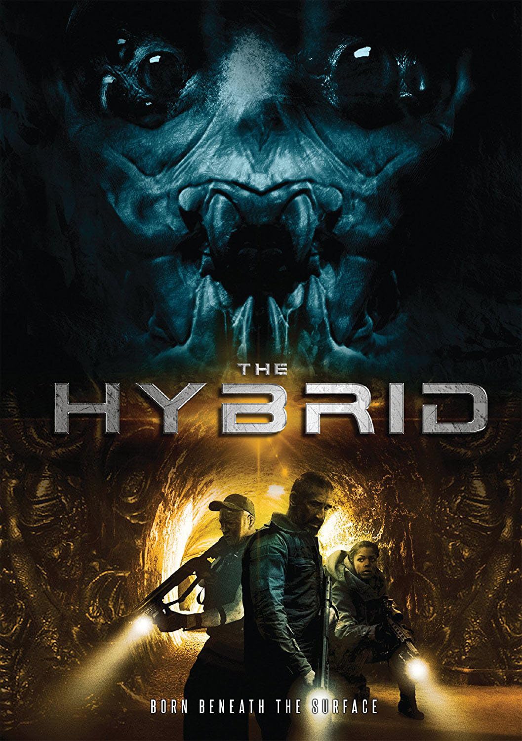 Película Hybrid USA en formato DVD importado para coleccionistas de cine