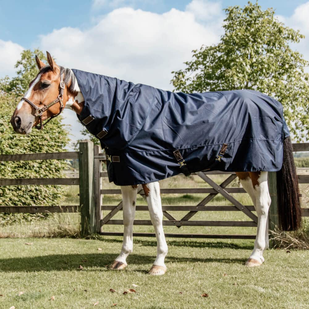 Couverture polaire Quick Dry 150 g bleu marine : séchage ultra rapide pour cheval