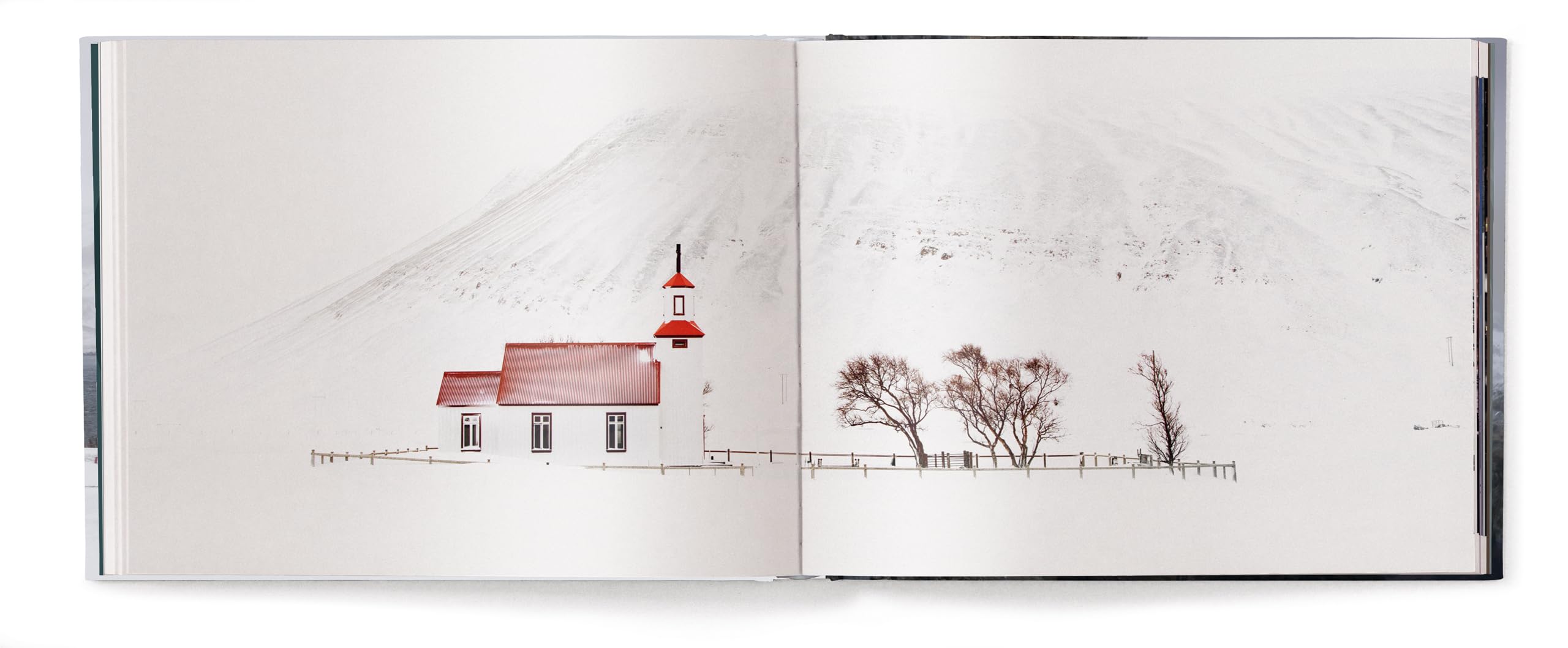 Winterland: The Colors of Snow