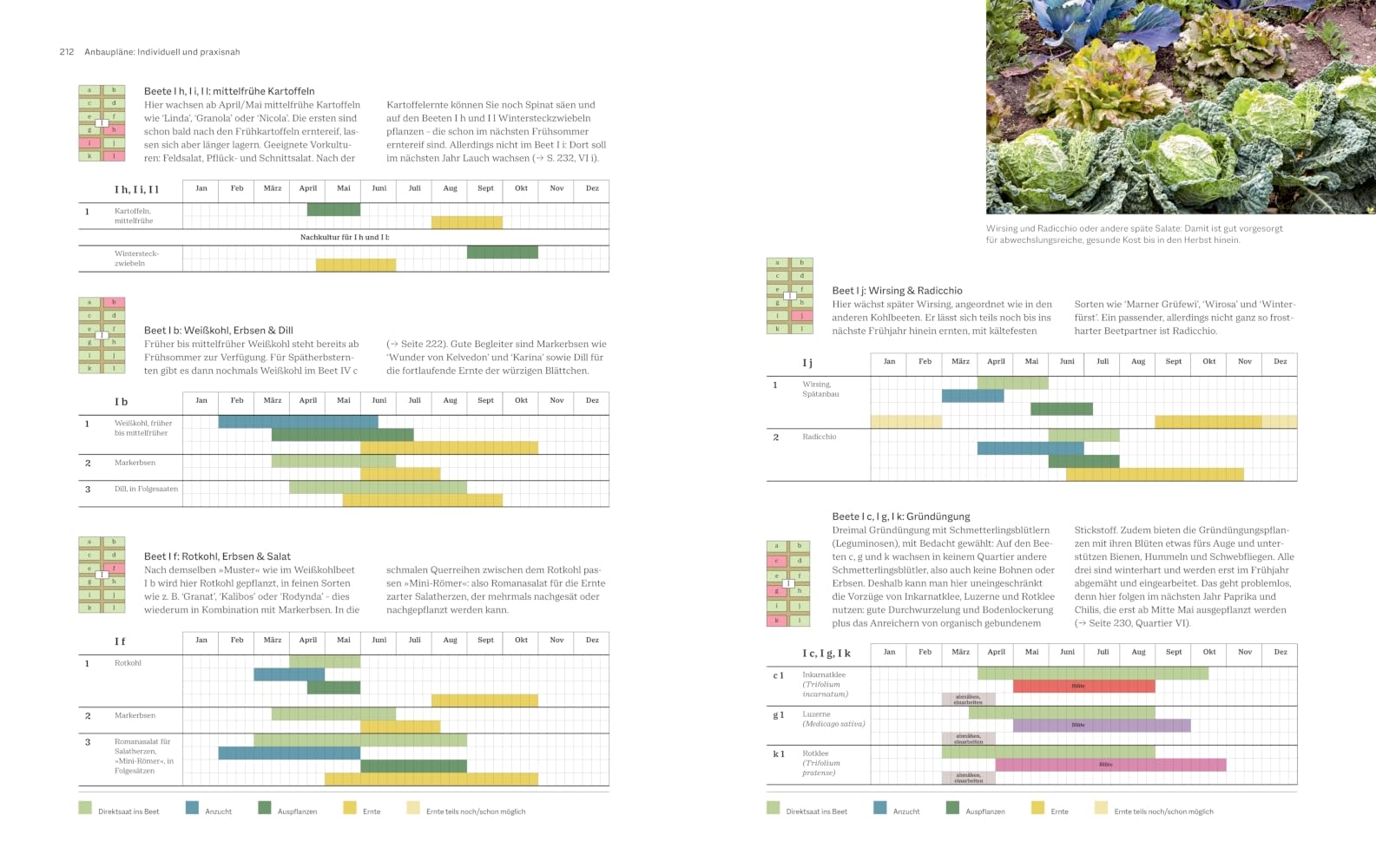 Das große GU Handbuch Gemüse-Anbauplanung: Gute Planung - reiche Ernte für viele Jahre
