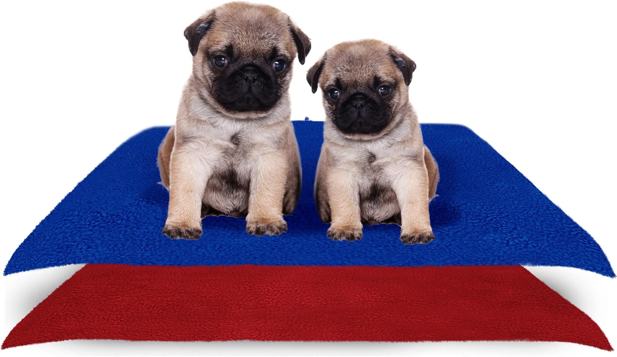 Washable Reusable Pee Mats for Dogs 70 X 50 Royal Blue + Maroon (Small) Pack of 2 | Waterproof Puppy Training Pad | Indoor Dog Potty Mat | Dog Pee Pad | Non-Slip Pee Mat for Dogs and Puppies