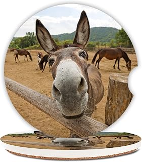 Funny Donkey Absorbent Cup Holders Car Coasters,Ceramic Stone Drinks Coaster Set for Women Man 2.56"(2 Pack)