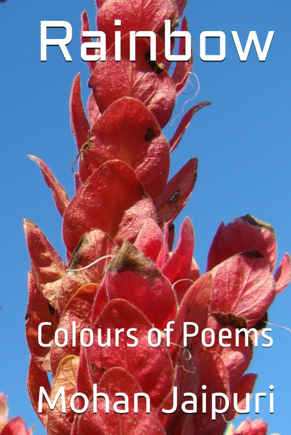 Rainbow: Colours of Poems