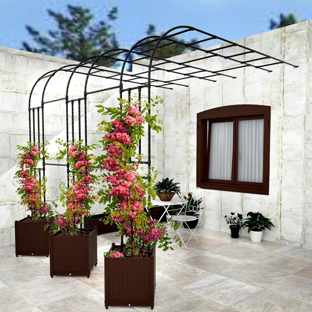 Arche À Rosiers en Métal, Arceau De Jardin Demi-latérale, Treillis Et Support pour Plantes Grimpantes, Pergola Déco pour Extérieur, Terrasse, Mariage Et Cérémonie(Black,W150*H240cm)