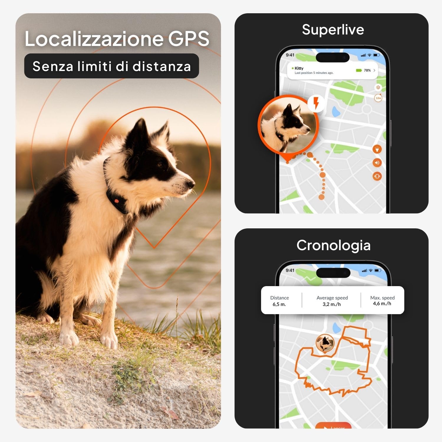 Weenect Dog XT - NUOVO Collare GPS per Cani | Antenna XL | Impermeabile | Collare ultra-resistente integrato Julius-K9 | Garanzia a vita | Abbonamento richiesto (Giallo)