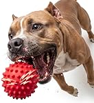 Jouets interactifs pour chiens : boules de chien en mouvement automatique avec LED Lumières, Jouet de chiot pour les garder occupés, Boule de chien Duraspin pour petit,Moyen,Grands chiens, Jouets de chien pour les brochettes agressives,Rechargeable(Blue)