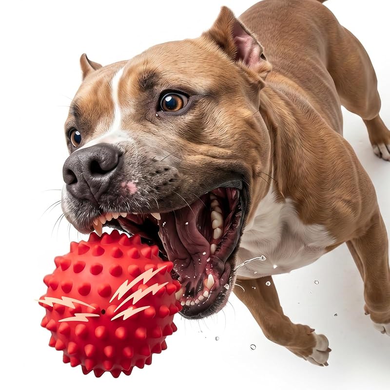 Bola para Cães de Borracha Natural com Apito e Espículas Apasiri, Beef, Red, 1 unidade