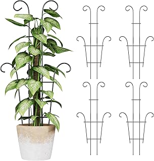 Larger Expandable Metal Plant Trellis Pack